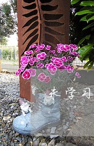 未学习逾期未审验名单 未学习逾期未审验名单