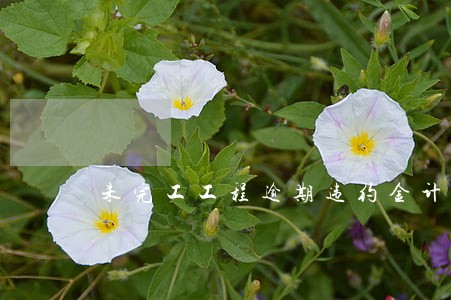 未完工工程逾期违约金计算公式 未完工工程逾期违约金计算公式
