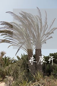 未展开经营的0申报逾期 未展开经营的0申报逾期