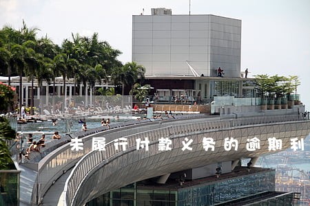 未履行付款义务的逾期利息 未履行付款义务的逾期利息