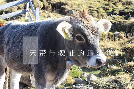 未带行驶证的违法代码 未带行驶证的违法代码