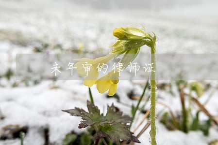 未年审的律师证 未年审的律师证