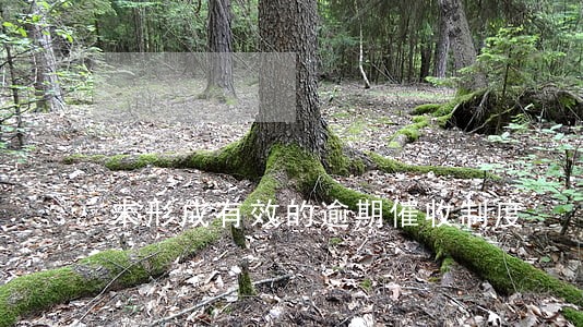 未形成有效的逾期催收制度