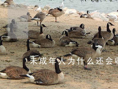 未成年人为什么还会收到欠款逾期 未成年人为什么还会收到欠款逾期
