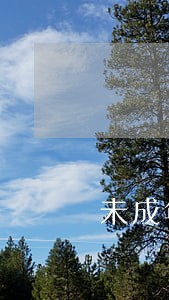 未成年人可以成为诉讼主体吗 未成年人可以成为诉讼主体吗
