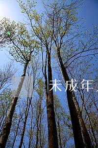未成年人法律热线 未成年人法律热线