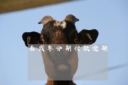 未成年分期付款逾期