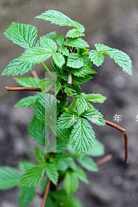 未成年外国人逾期居留罚款 未成年外国人逾期居留罚款
