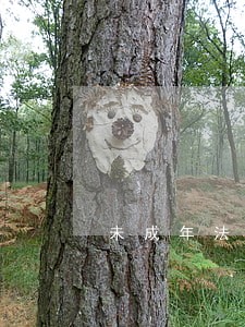 未成年法律咨询 未成年法律咨询