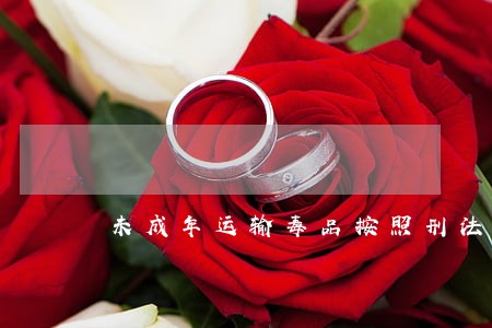 未成年运输毒品按照刑法如何处罚