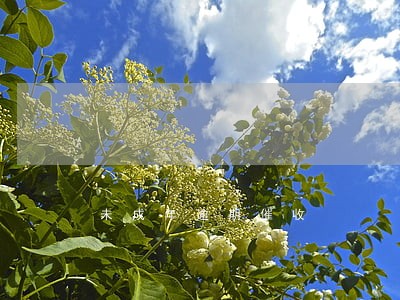 未成年逾期催收 未成年逾期催收