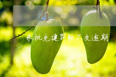 未批先建罚款不交逾期 未批先建罚款不交逾期