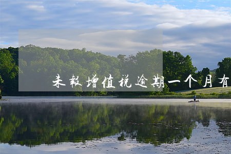 未报增值税逾期一个月有什么后果