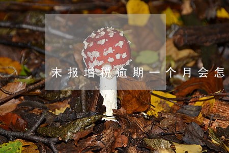 未报增税逾期一个月会怎样 未报增税逾期一个月会怎样