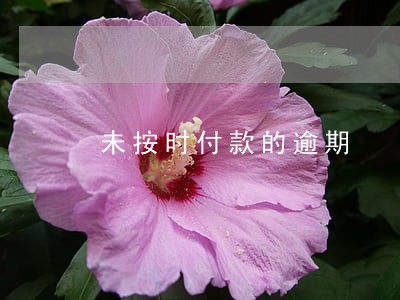 未按时付款的逾期 未按时付款的逾期