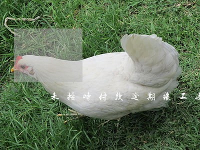 未按时付款逾期竣工违约金 未按时付款逾期竣工违约金