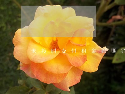 未按时支付租金逾期罚息利率 未按时支付租金逾期罚息利率