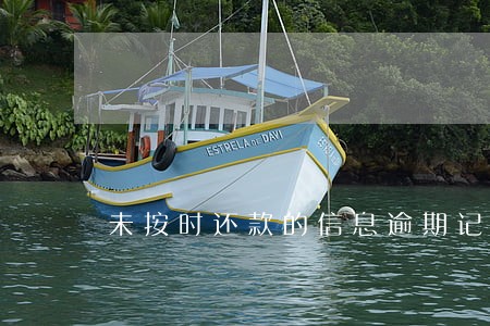 未按时还款的信息逾期记录 未按时还款的信息逾期记录