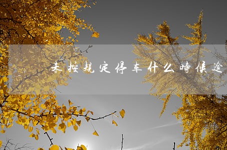 未按规定停车什么时候逾期 未按规定停车什么时候逾期