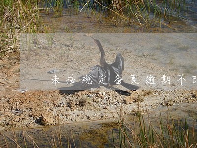 未按规定备案逾期不改正 未按规定备案逾期不改正