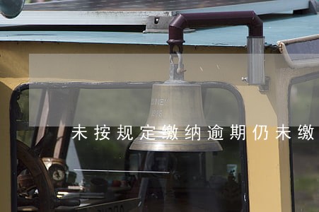 未按规定缴纳逾期仍未缴纳 未按规定缴纳逾期仍未缴纳