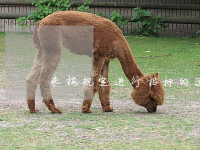 未按规定进行招标的违法规定 未按规定进行招标的违法规定