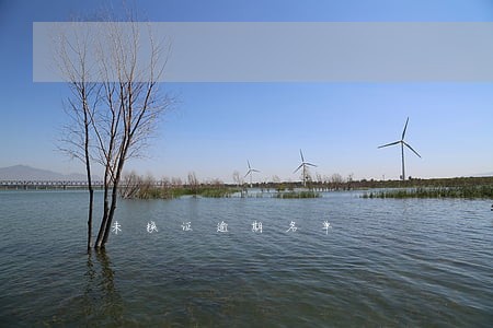 未换证逾期名单 未换证逾期名单