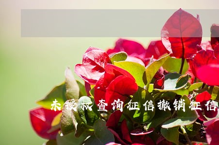 未授权查询征信撤销征信逾期记录 未授权查询征信撤销征信逾期记录