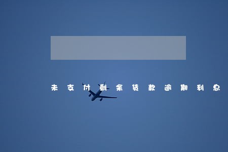 未支付剩余货款逾期利息 未支付剩余货款逾期利息
