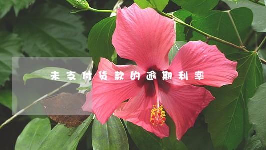 未支付货款的逾期利率 未支付货款的逾期利率