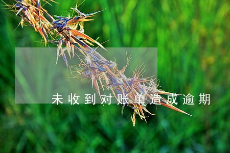 未收到对账单造成逾期 未收到对账单造成逾期