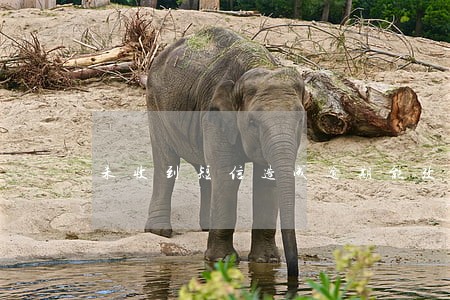 未收到短信造成逾期能改征信吗