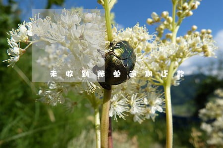 未收到账单逾期还款