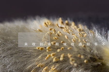未收到逾期催收通知书不还款