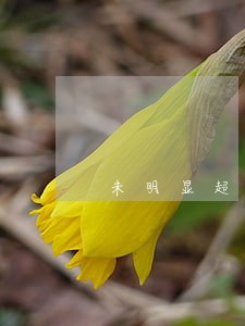 未明显超标的法院管辖权 未明显超标的法院管辖权