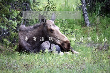 未有逾期记录的信用卡注销