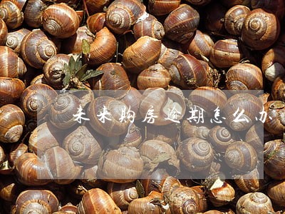 未来购房逾期怎么办 未来购房逾期怎么办