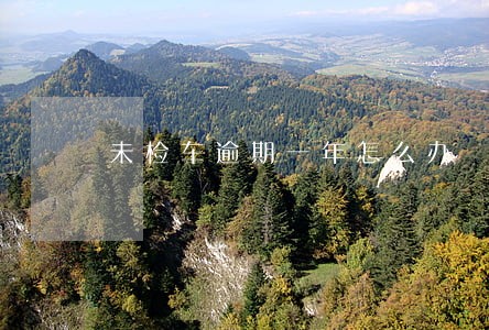 未检车逾期一年怎么办 未检车逾期一年怎么办