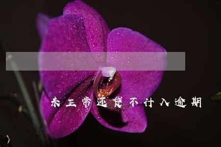 未正常还贷不计入逾期 未正常还贷不计入逾期