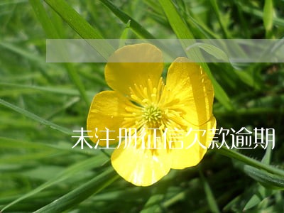 未注册征信欠款逾期 未注册征信欠款逾期
