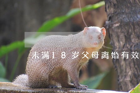 未满18岁父母离婚有效吗