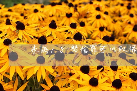 未满18帮信罪可以取保候审吗