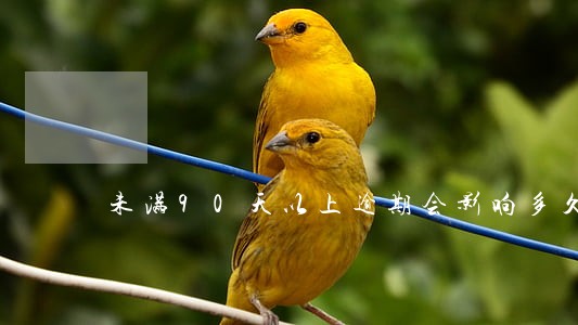 未满90天以上逾期会影响多久 未满90天以上逾期会影响多久