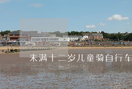 未满十二岁儿童骑自行车法规 未满十二岁儿童骑自行车法规