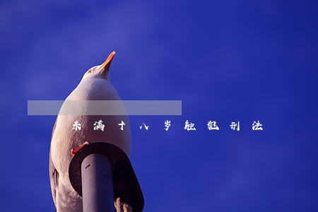 未满十八岁触犯刑法