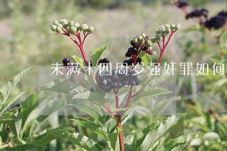 未满十四周岁强奸罪如何定罪 未满十四周岁强奸罪如何定罪