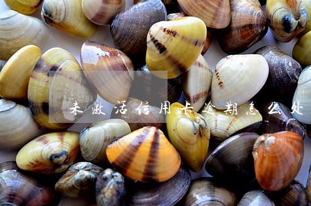 未激活信用卡逾期怎么处理 未激活信用卡逾期怎么处理