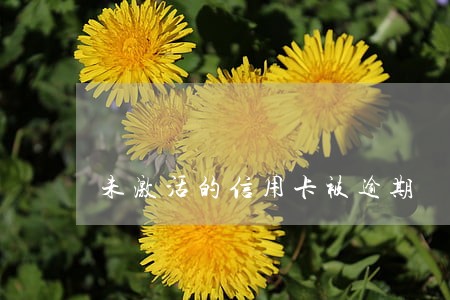 未激活的信用卡被逾期 未激活的信用卡被逾期