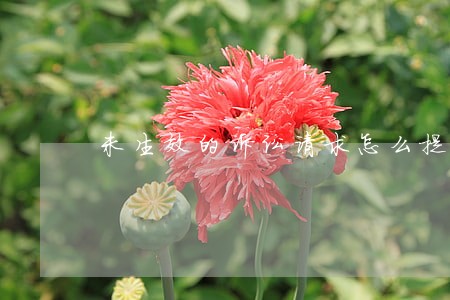 未生效的诉讼请求怎么提 未生效的诉讼请求怎么提