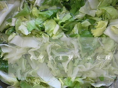 未申报逾期怎么处理 未申报逾期怎么处理